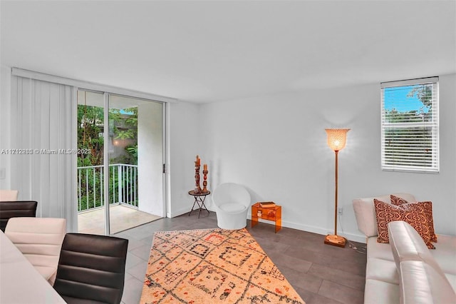 living room featuring a healthy amount of sunlight and a wall of windows