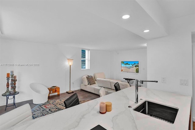 living room with dark hardwood / wood-style flooring and sink