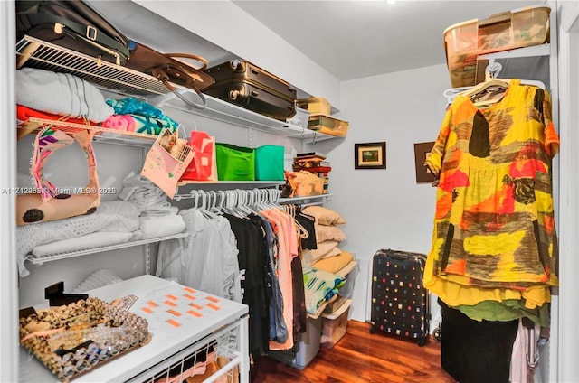 spacious closet with dark hardwood / wood-style flooring