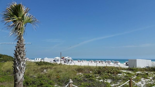 water view with a view of the beach