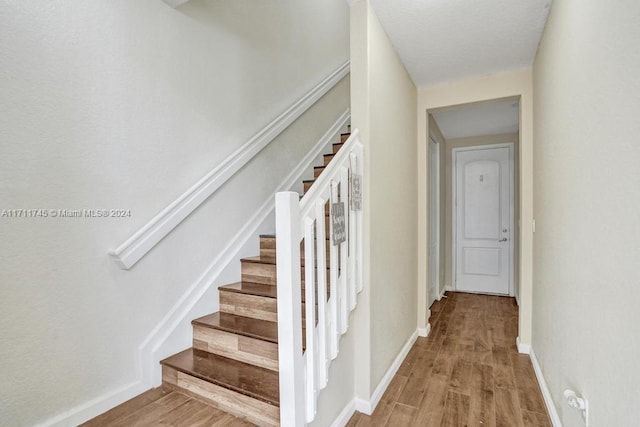 stairs with hardwood / wood-style flooring