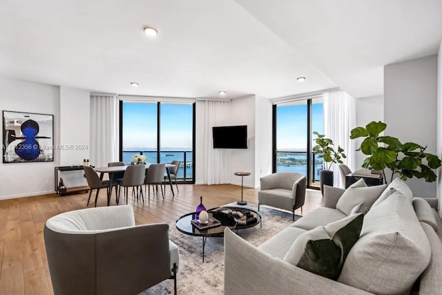 living room featuring expansive windows and light hardwood / wood-style floors