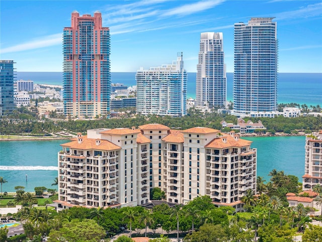 drone / aerial view featuring a view of city and a water view