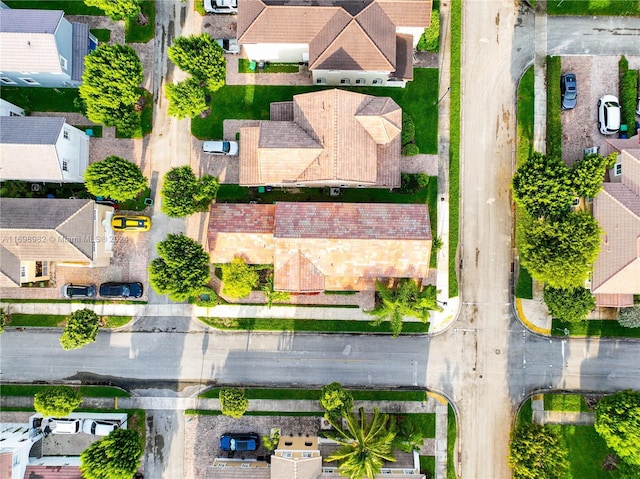 bird's eye view