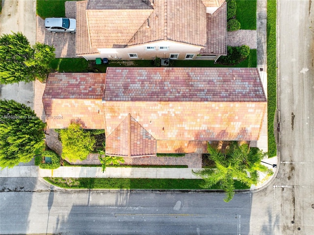 aerial view