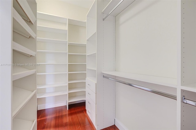 walk in closet with dark hardwood / wood-style flooring