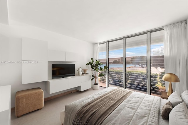 carpeted bedroom featuring access to outside, multiple windows, and expansive windows