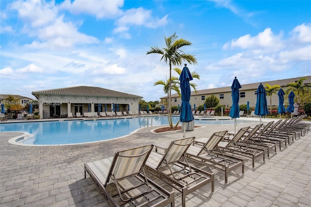 view of swimming pool with a patio area