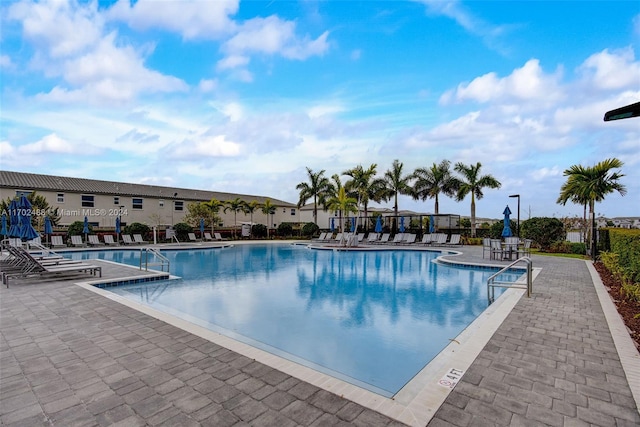 view of pool featuring a patio