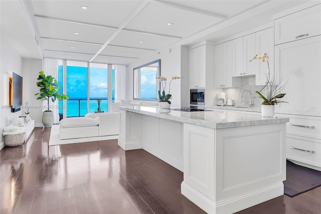 kitchen featuring light stone countertops, tasteful backsplash, white cabinetry, and dark wood-type flooring