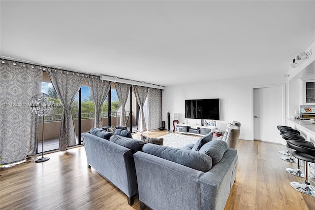 living room with light hardwood / wood-style flooring