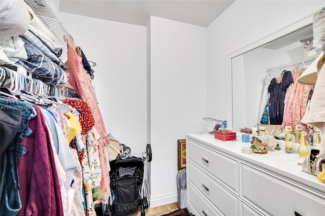 11113 Biscayne Blvd Unit 255, Miami, FL 33181 - spacious closet with wood finished floors