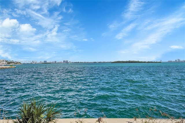 11113 Biscayne Blvd Unit 255, Miami, FL 33181 - water view featuring city skyline