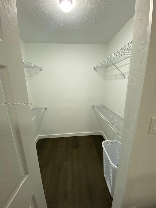 spacious closet with dark hardwood / wood-style flooring