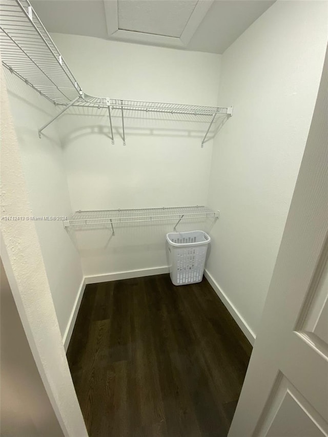 walk in closet with dark hardwood / wood-style flooring