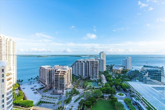 drone / aerial view with a water view