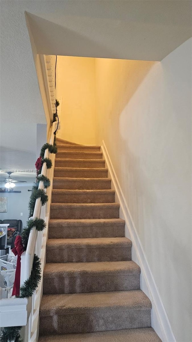 stairway featuring carpet flooring and ceiling fan