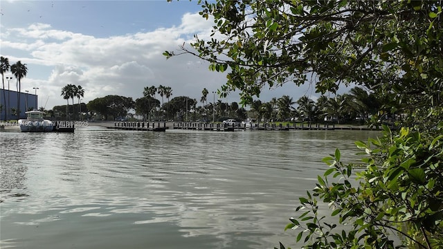 property view of water