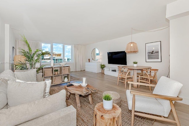 living room with light wood-type flooring