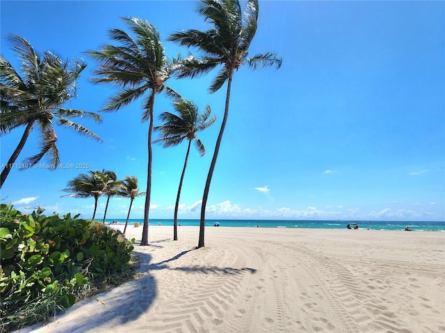 1504 S Surf Rd Unit 57, Hollywood, FL 33019 - water view featuring nearby beach