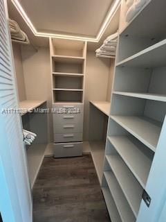 spacious closet featuring dark hardwood / wood-style floors