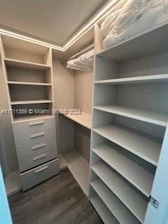 walk in closet with dark wood-type flooring