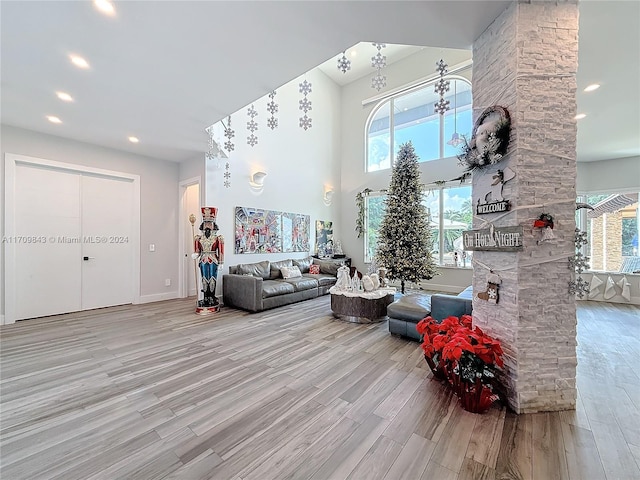 living room with light hardwood / wood-style flooring