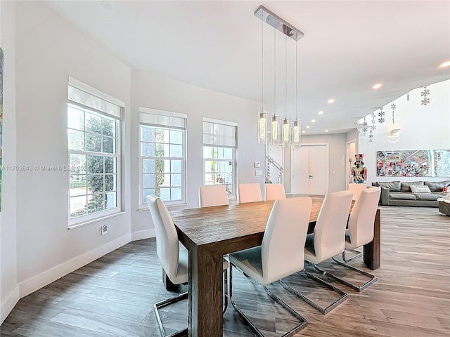 dining space featuring hardwood / wood-style flooring