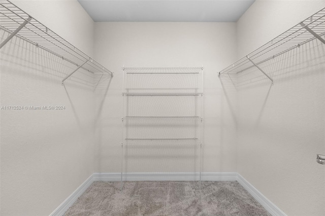 walk in closet with carpet floors