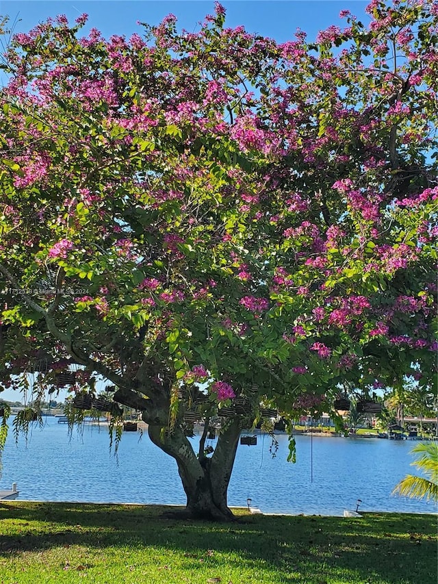 property view of water