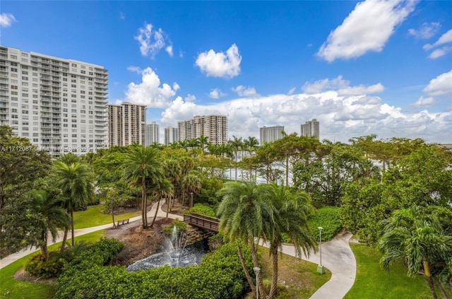 view of property's community featuring a view of city