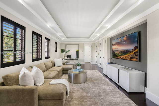 living room featuring a raised ceiling and dark hardwood / wood-style flooring