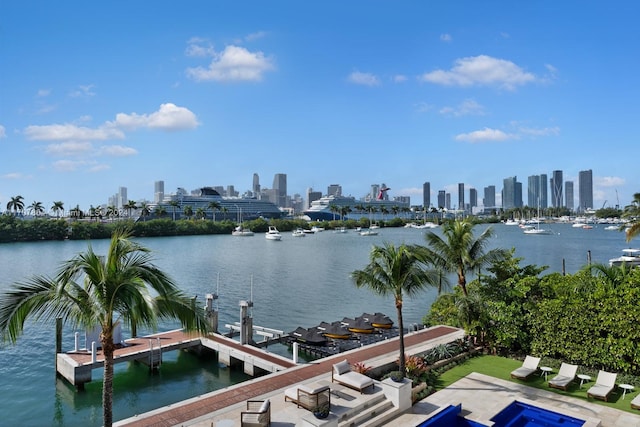 288 S Coconut Ln, Miami Beach, FL 33139 - photo 43