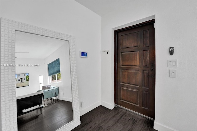 foyer entrance featuring dark hardwood / wood-style floors