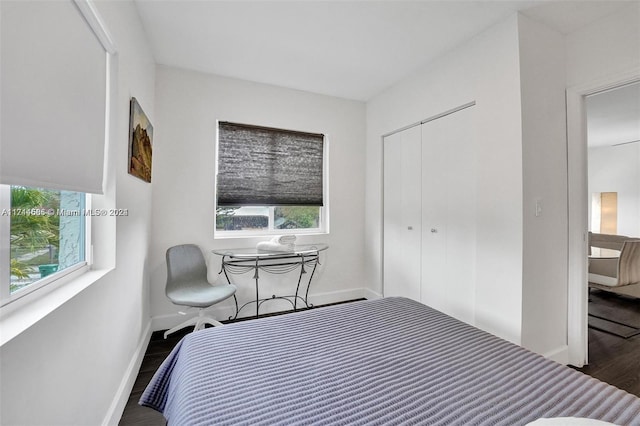 bedroom featuring a closet and dark wood-type flooring