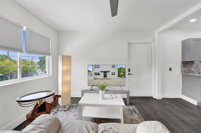 living room with dark hardwood / wood-style flooring