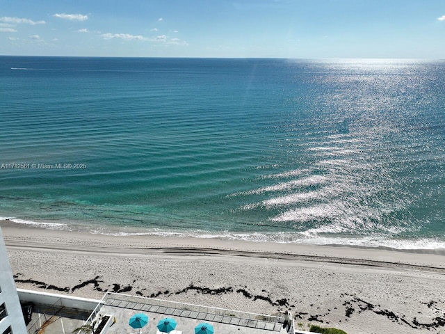 water view featuring a beach view