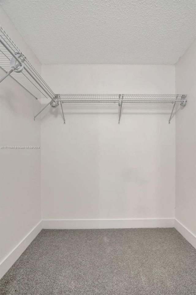 walk in closet with carpet floors