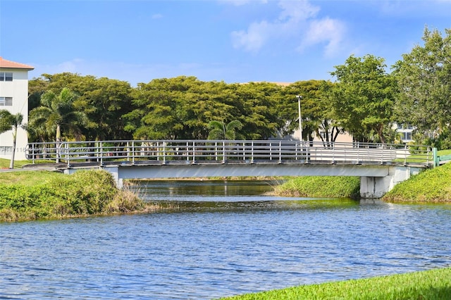 view of water feature