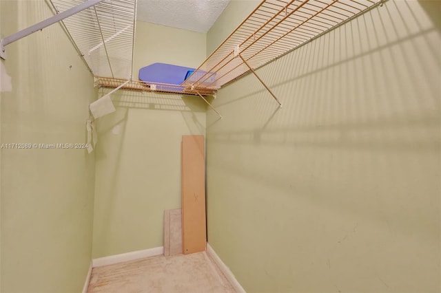 spacious closet with carpet floors