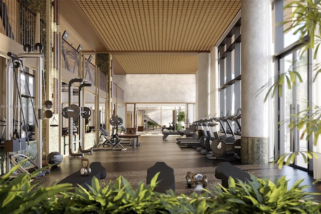 exercise room with a wall of windows and a towering ceiling