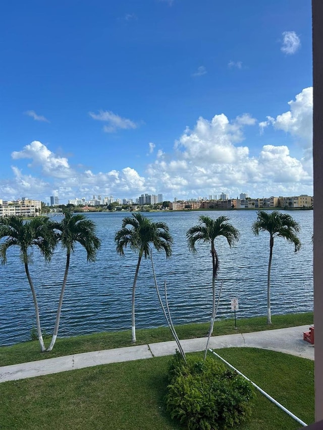 18707 NE 14th Ave Unit 727, Miami, FL 33179 - view of water feature