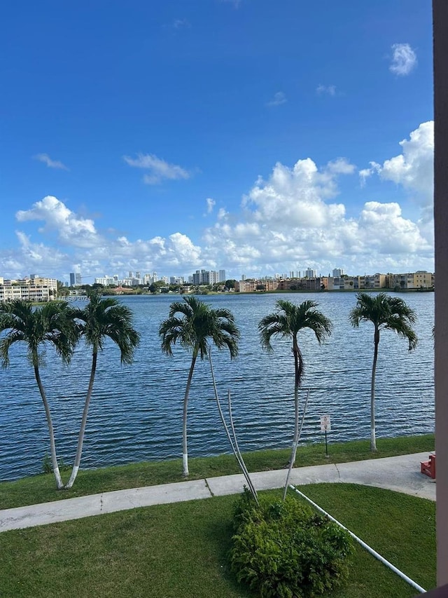 view of water feature