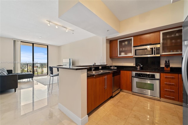 kitchen featuring sink, a wall of windows, kitchen peninsula, a kitchen bar, and appliances with stainless steel finishes