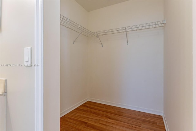 walk in closet with hardwood / wood-style flooring