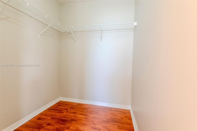 spacious closet featuring wood-type flooring