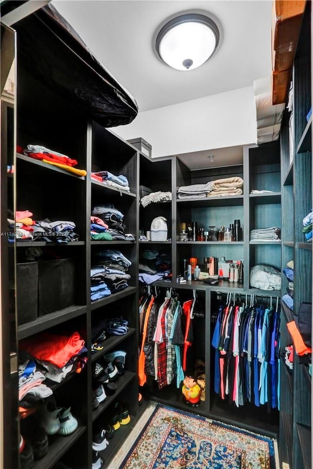 view of walk in closet