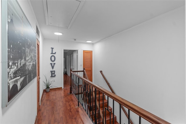 hall featuring dark hardwood / wood-style floors