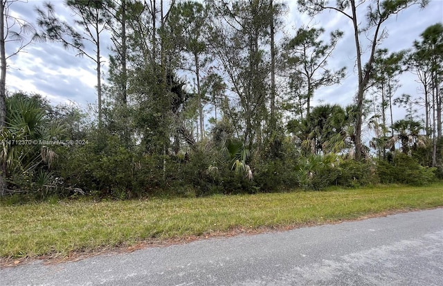 2393 Bendixen St, Port Charlotte FL, 33953 land for sale