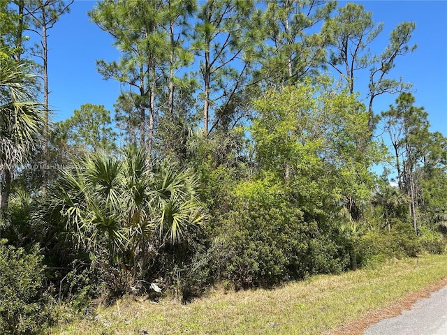 2393 Bendixen St, Port Charlotte FL, 33953 land for sale